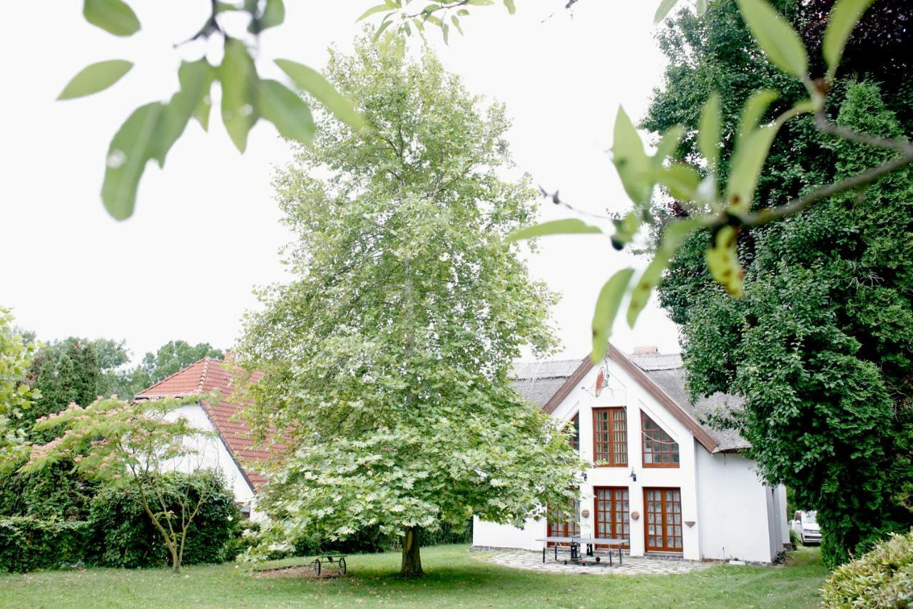 Willa The Pearl Of Balaton Szigliget Zewnętrze zdjęcie